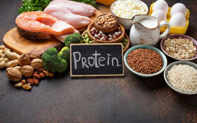 Protein Power: Fueling Your Body Right in Your 40s and 50s for a Healthier You